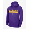 Eli Ferry Los Angeles Lakers Printed Purple Hoodie