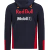 Aston-Martin-Red-Bull-Racing-Jacket-Back